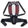 ALPINESTARS Nucleon Plasma back protector Черный