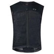 OAKLEY APPAREL Snowbound D3O Back Guard Protection Vest Черный (размер: s)