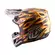Troy Lee Designs Se5 Carbon Overspray Мотошлем Gold Золотистый