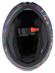 Ridill 2 Raging Beast Black, Blue, Green