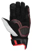 22360 Sambia Louis Edition Черный