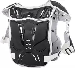 PXR Stone Shield