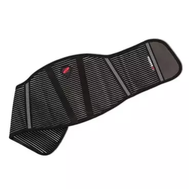 Zandona Comfort ремень