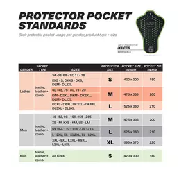 Ixs Ccs Lv2 Back Protector Black Green Черный