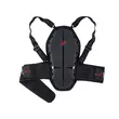 Zandona Pro Shell X6 Back Protector Black Черный (размер: xs)
