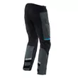 Dainese Mangen Absoluteshell Pro мотоштаны Ebony Синий