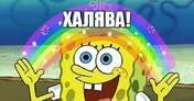 Сладкое слово ХАЛЯВА