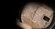 Icon Threshold Dark мотошлем модуляр черный матовый