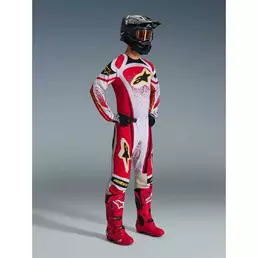 Alpinestars TECHSTAR NOMUR Cross Enduro Motorcycle мотоштаны Light Grey Red Black