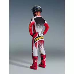 Alpinestars TECHSTAR NOMUR Cross Enduro Motorcycle мотоштаны Light Grey Red Black