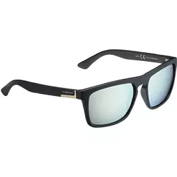 Held Polarized Sunочки in Grey