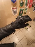 Отзыв №8942